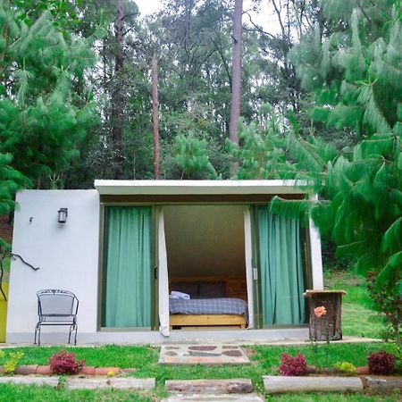 Romanticas Cabanas En Bosque Acaxochitlán Eksteriør billede