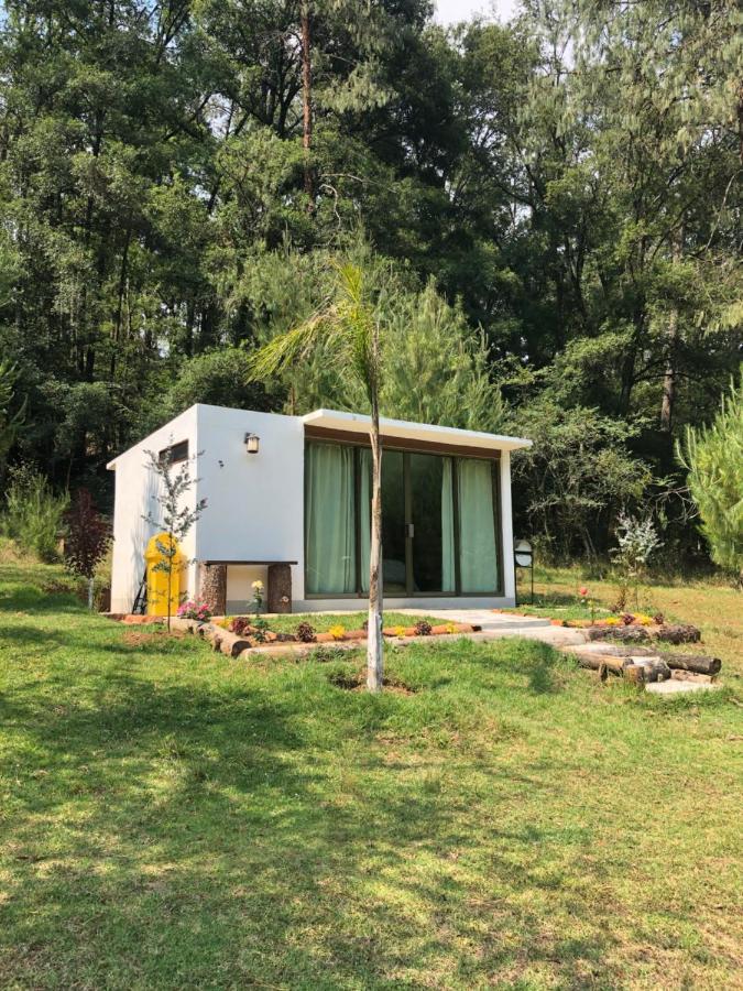 Romanticas Cabanas En Bosque Acaxochitlán Eksteriør billede