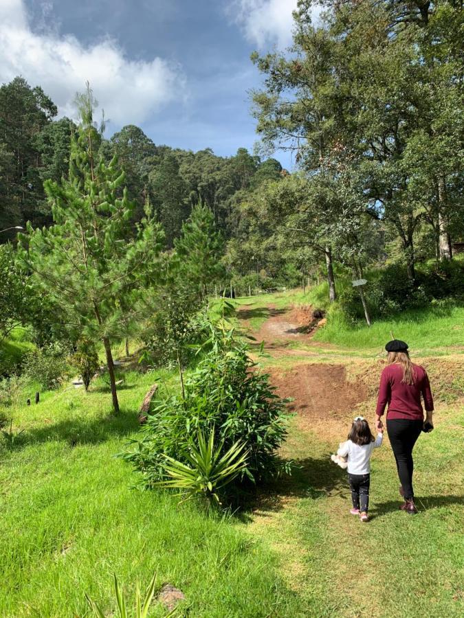 Romanticas Cabanas En Bosque Acaxochitlán Eksteriør billede
