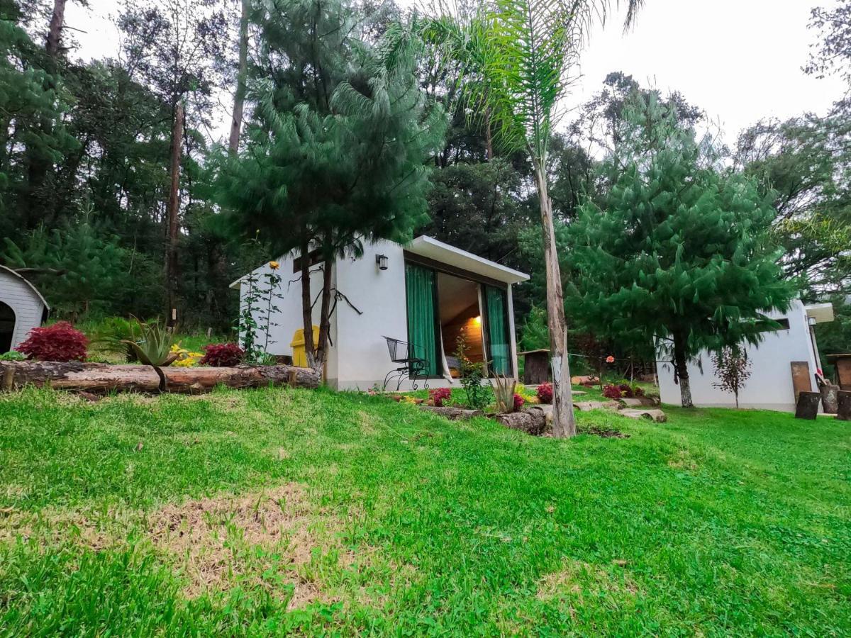 Romanticas Cabanas En Bosque Acaxochitlán Eksteriør billede