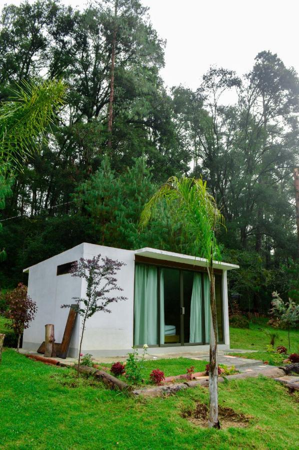 Romanticas Cabanas En Bosque Acaxochitlán Eksteriør billede