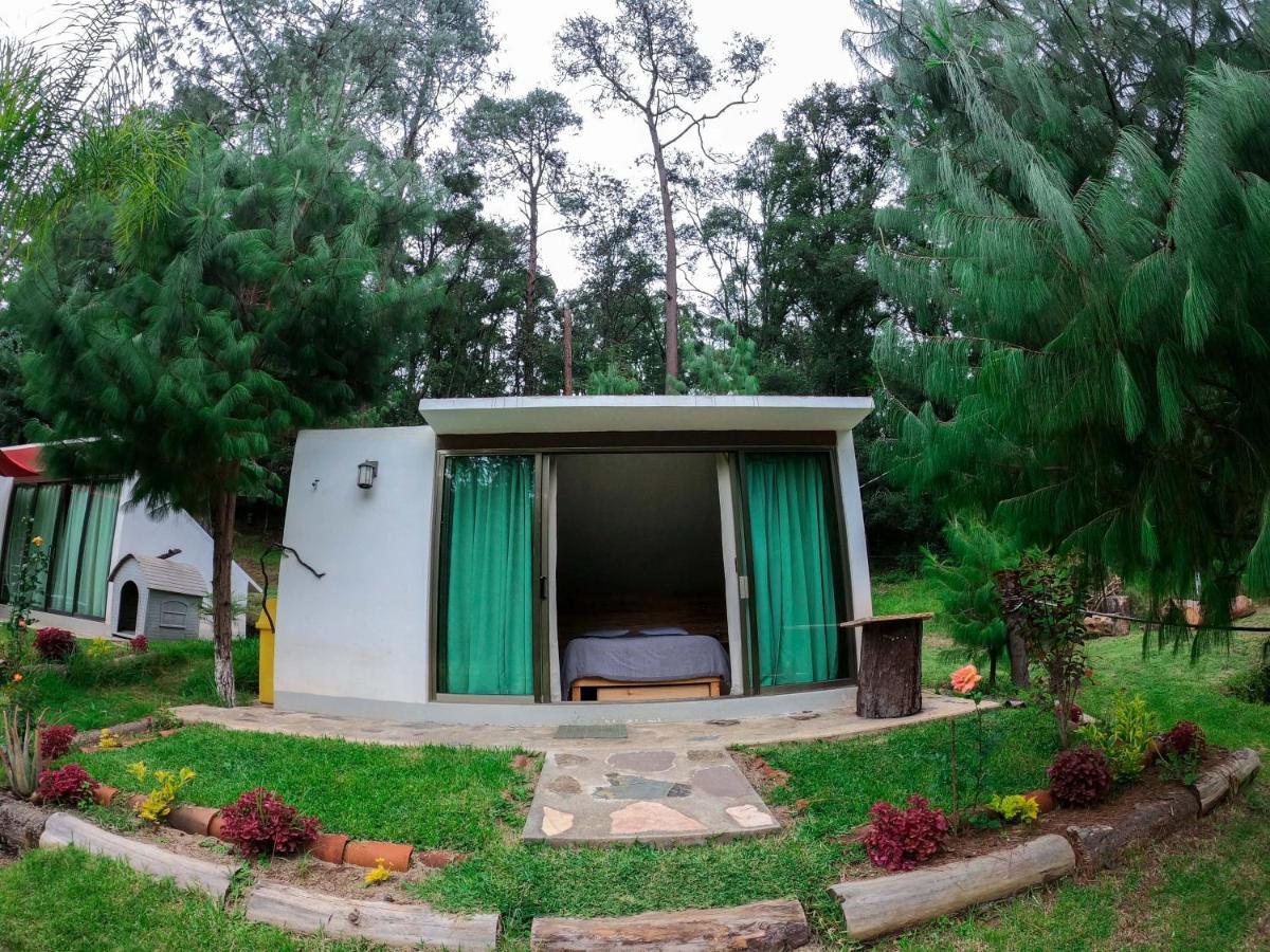 Romanticas Cabanas En Bosque Acaxochitlán Eksteriør billede