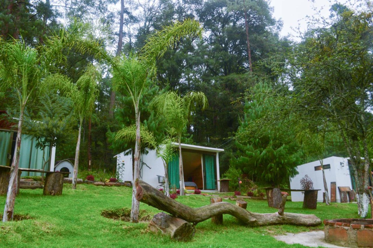 Romanticas Cabanas En Bosque Acaxochitlán Eksteriør billede