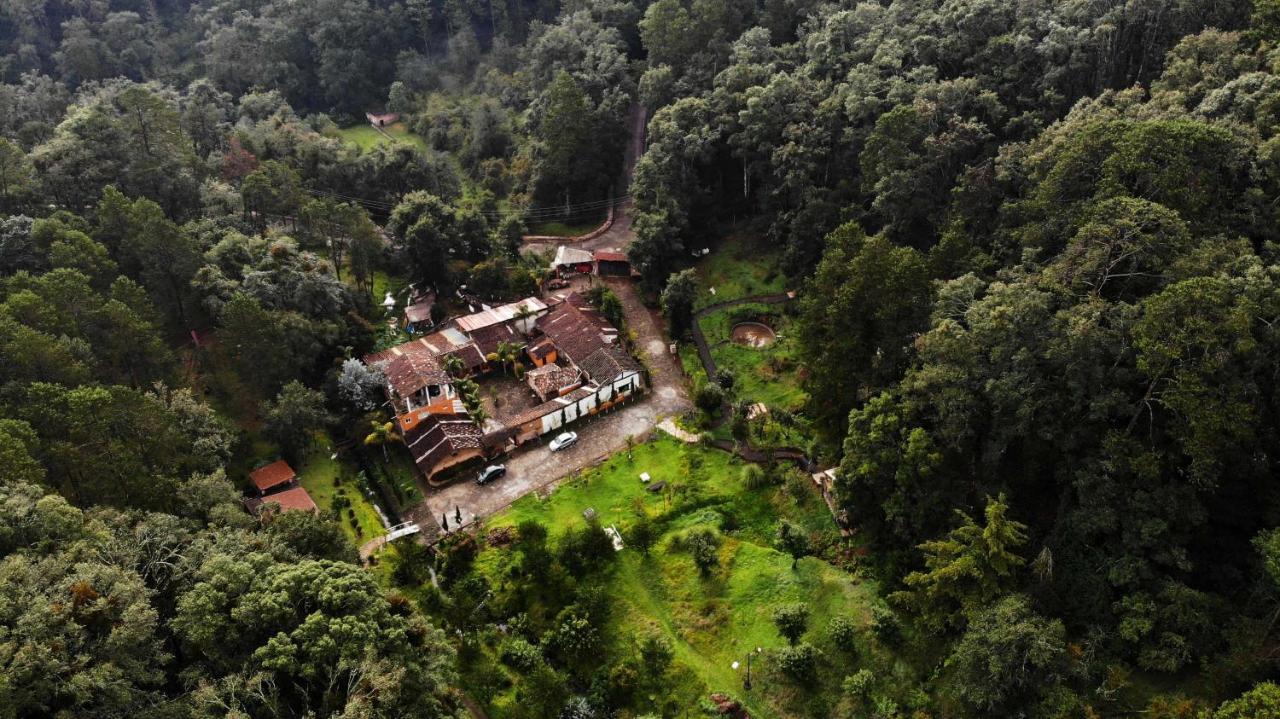 Romanticas Cabanas En Bosque Acaxochitlán Eksteriør billede