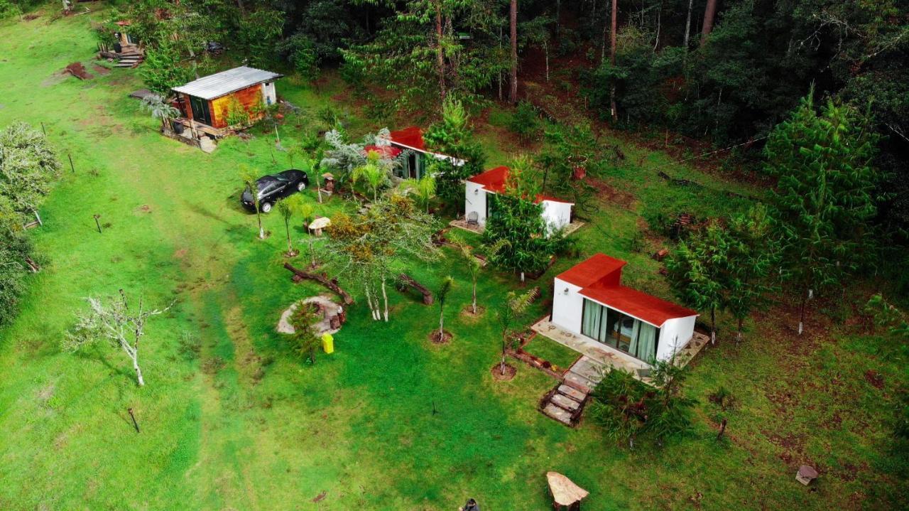 Romanticas Cabanas En Bosque Acaxochitlán Eksteriør billede