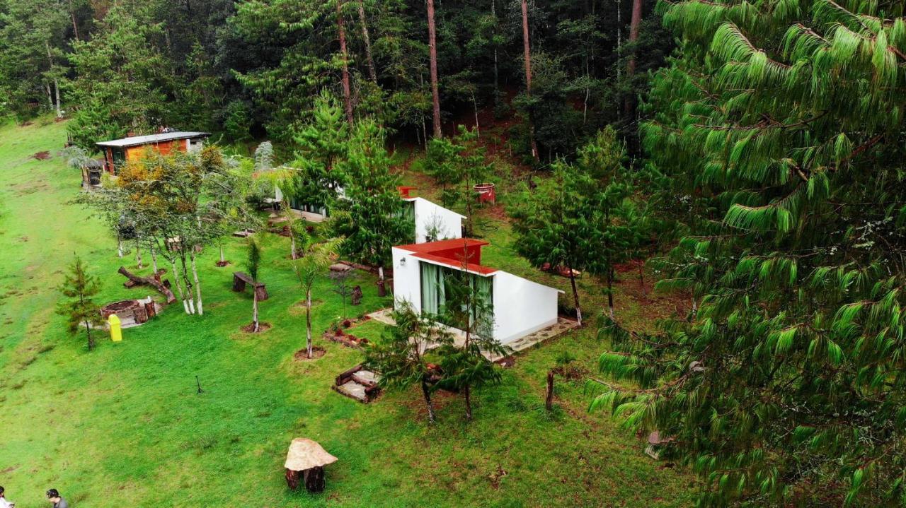 Romanticas Cabanas En Bosque Acaxochitlán Eksteriør billede